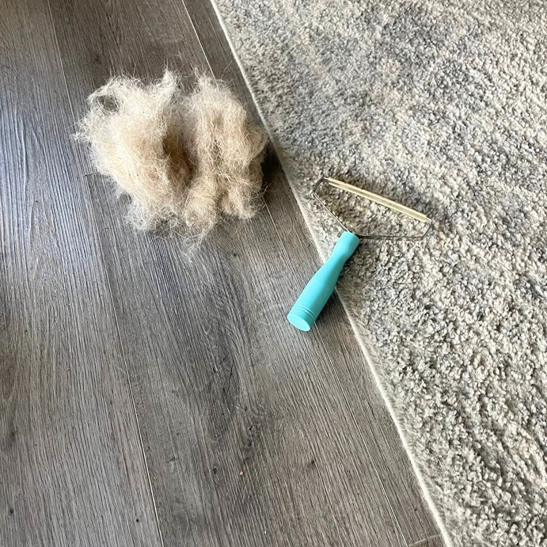 NoHair Cleaner™️ Anti-Hair-Brush