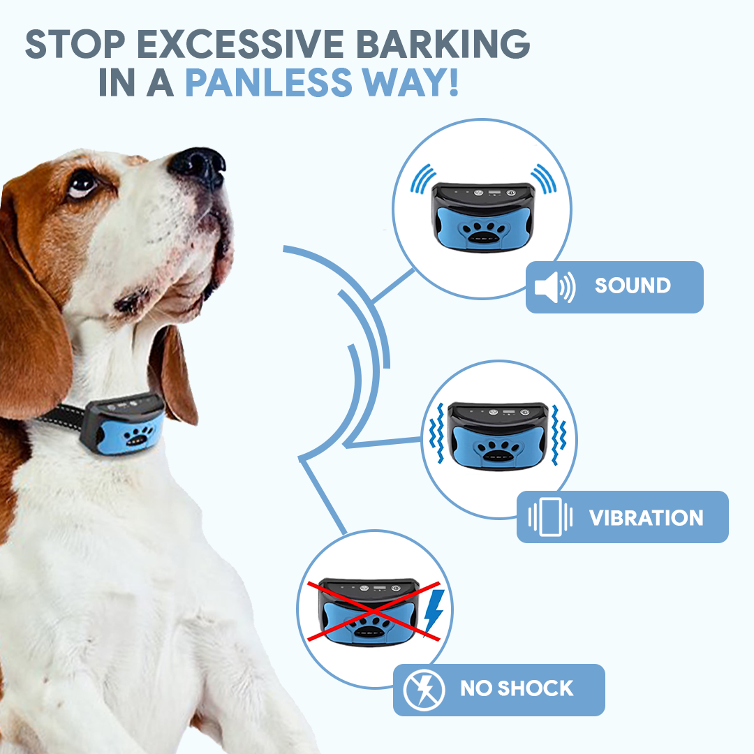 How to use a bark collar online