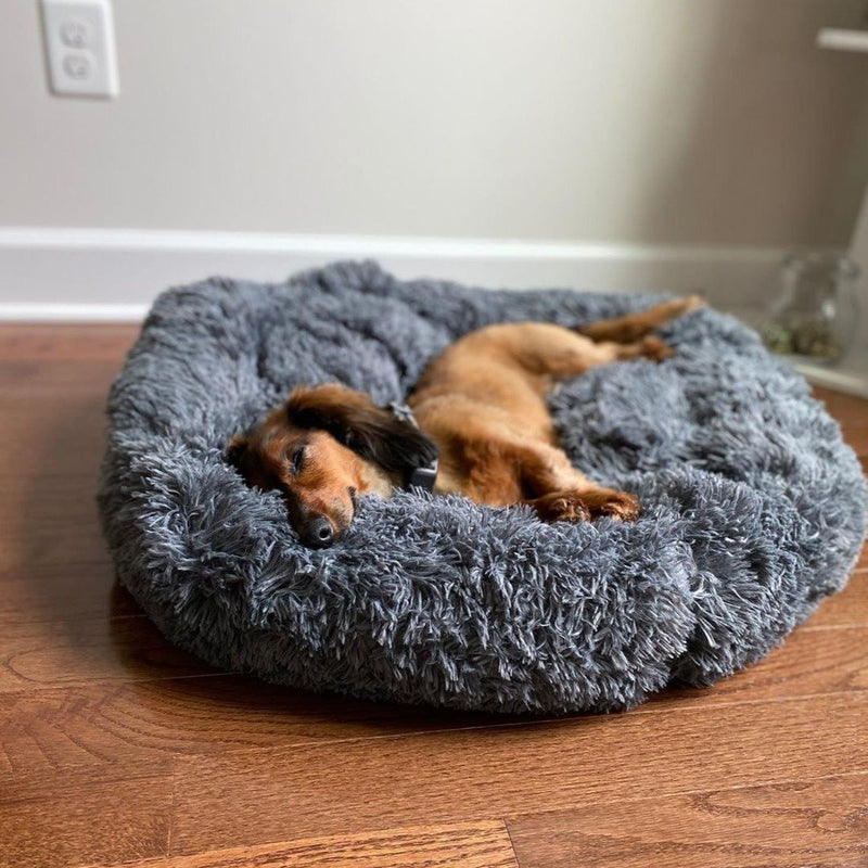 Buy the Original Calming Cloud 9 Dog Bed Online - PupsDream