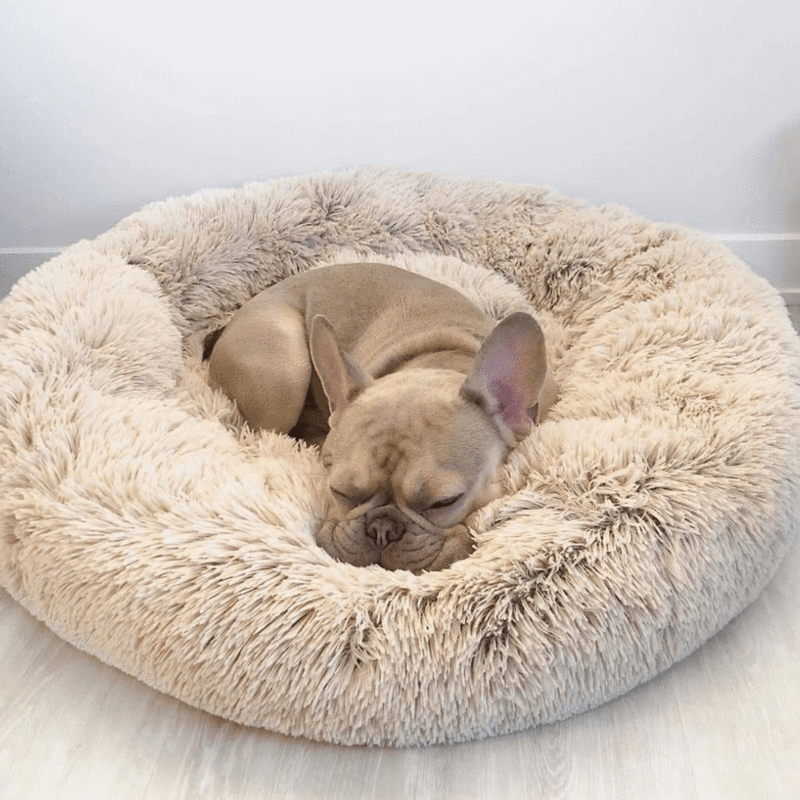 Calming bed dog clearance