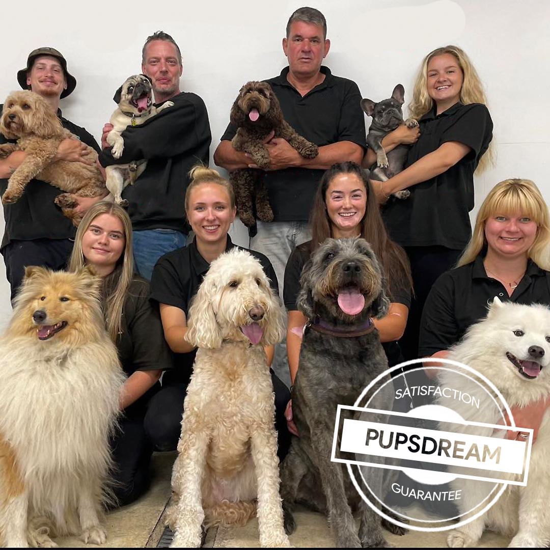 Group of people with various dogs, promoting 'PupsDream' satisfaction guarantee.